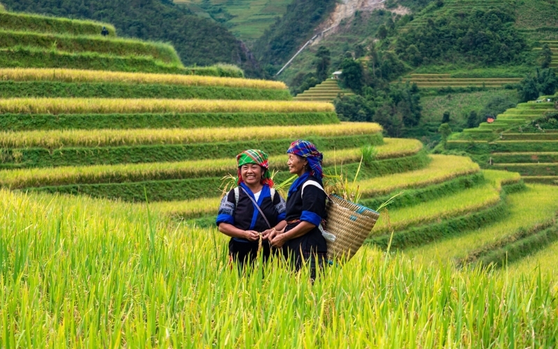 Visiter les plus belles rizières en terrasses de Mu Cang Chai