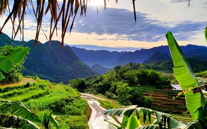 Découvrir les rizières de Pu Luong au Vietnam 