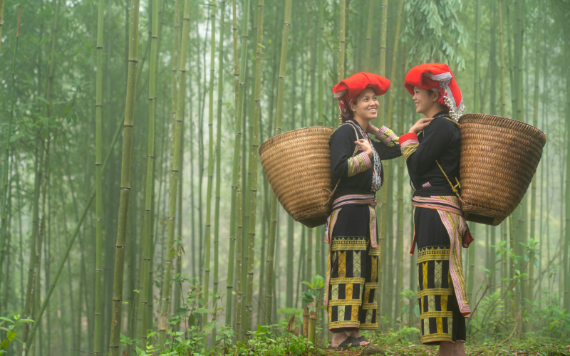 Bambou au cœur de la culture vietnamienne