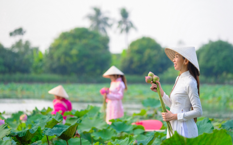 Le lotus est synonyme de beauté au Vietnam