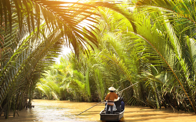 vietnam agosto