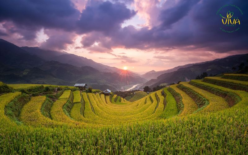 vietnam cosa vedere - Terrazze di riso a Mu Cang Chai