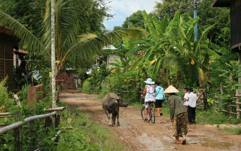 Que faire au Laos-Si Phan Don- Région de quatre mille iles