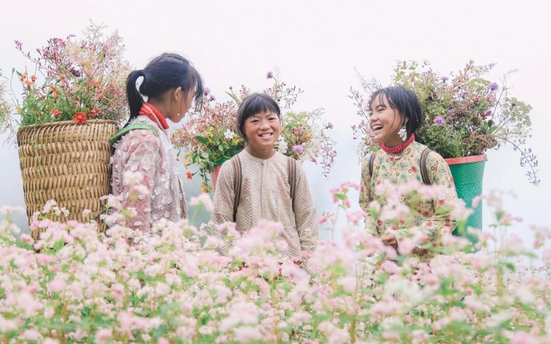 Les enfants avec les champs de fleurs de sarrasin