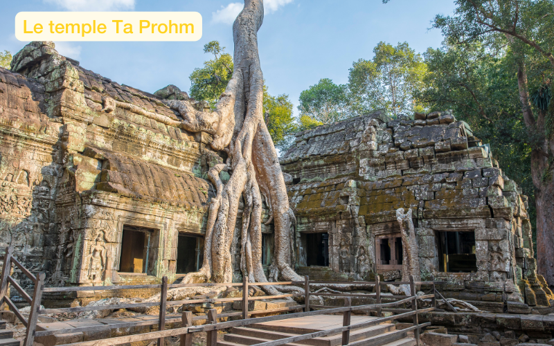  Le « Temple Tomb Raider » du l'Angkor