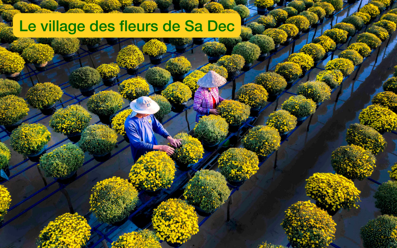 Les locaux prennent soin de chaque grappe de fleurs