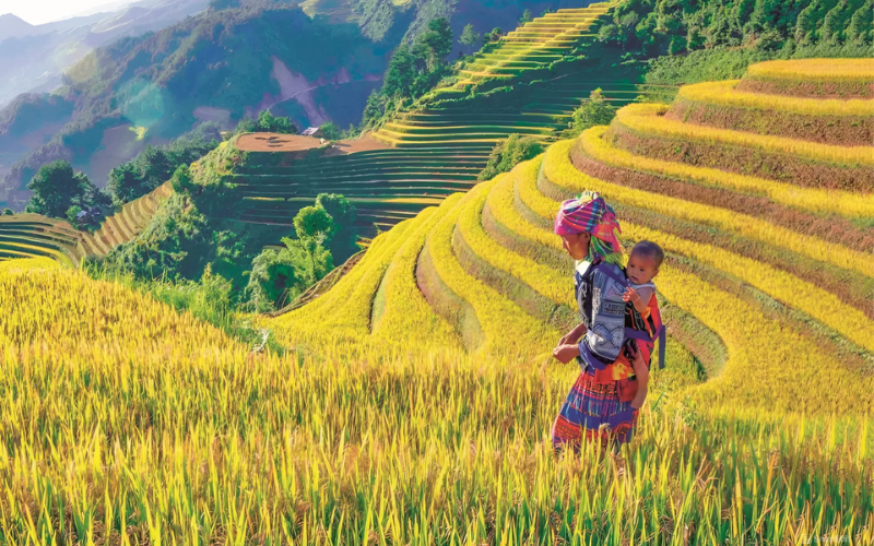 meteo-vietnam-en-septembre