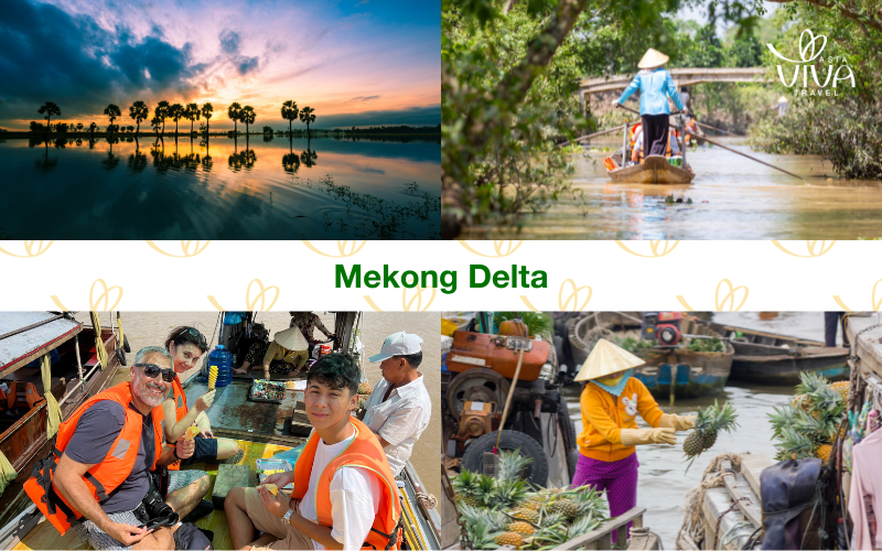 Mekong River - the place that tourists must visit - places to visit in vietnam