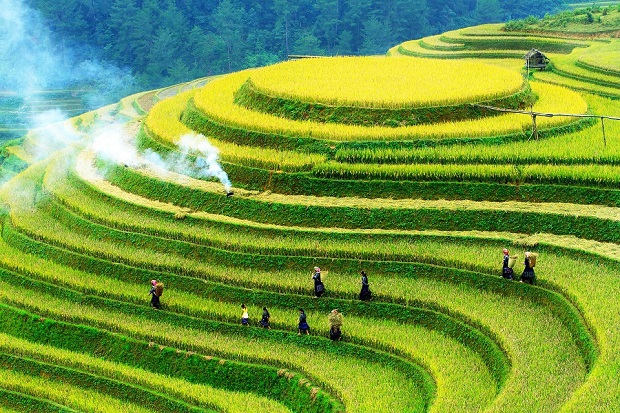 Vietnam itinerary 7 days