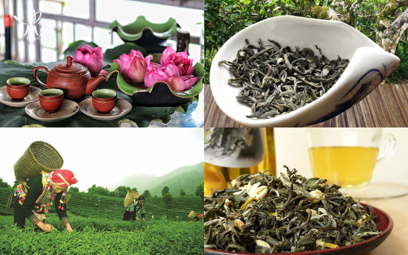 cosa comprare in vietnam - Tè vietnamiti - Un'aggiunta deliziosa alla tua collezione di tè