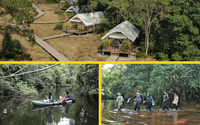 Cardamom Tented Camp
