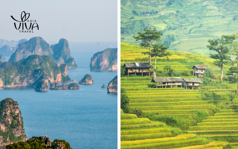 Vietnam a Giugno - Bellezze Naturali del Nord Vietnam