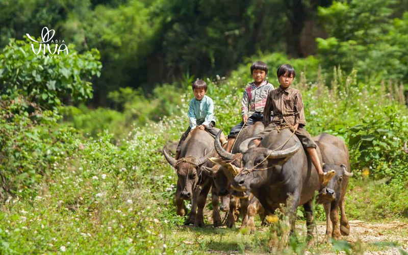 Cao Bang Vietnam - Best time to visit Cao Bang Vietnam