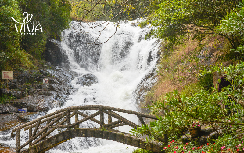 Dalat Vietnam - Datanla Waterfall - A Cascade of Wilderness