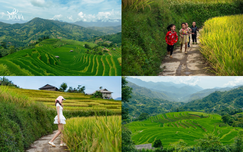 Hoang Su Phi_ le risaie dorate tra le montagne