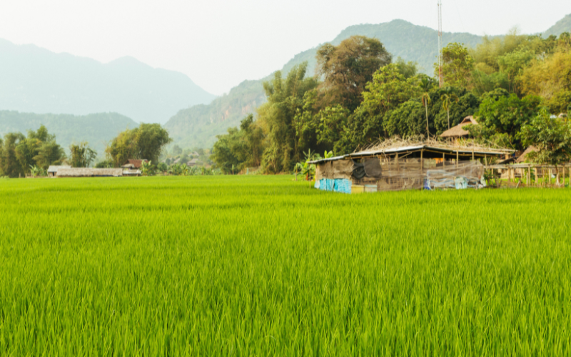 Vietnam ad Aprile - La valle di Mai Chau in primavera