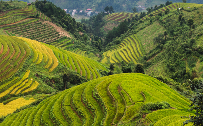 Vietnam Sapa - Panorama mozzafiato di Sapa_ Montagne, valli e risaie terrazzate