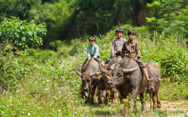 Quando andare a Cao Bang
