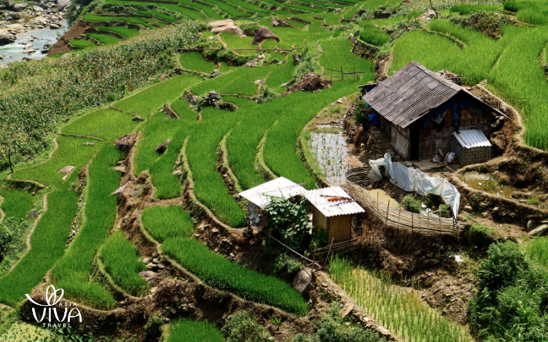 sapa vietnam - Villaggio di Ta Van_ Tradizione e bellezza tra i campi terrazzati