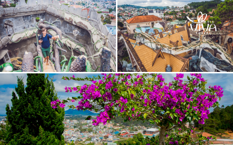Dalat Vietnam - Crazy House - A Masterpiece of Whimsical Architecture