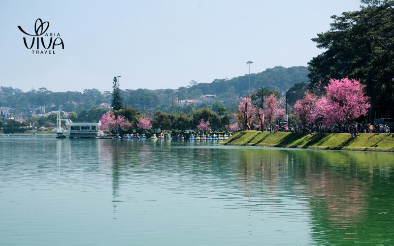 Dalat Vietnam - Dalat Vietnam 