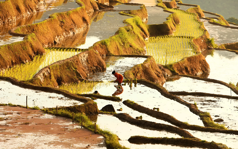 saison des eaux à Pu Luong