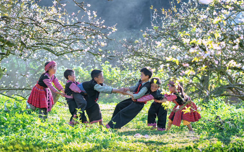 Les enfants jouent joyeusement sous la forêt de fleurs de pruniers blancs à Mai chau Vietnam 