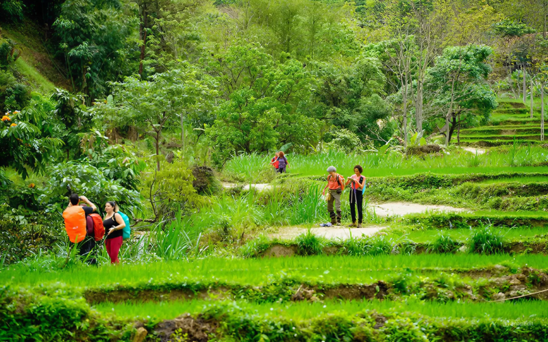 randonnées à pu luong
