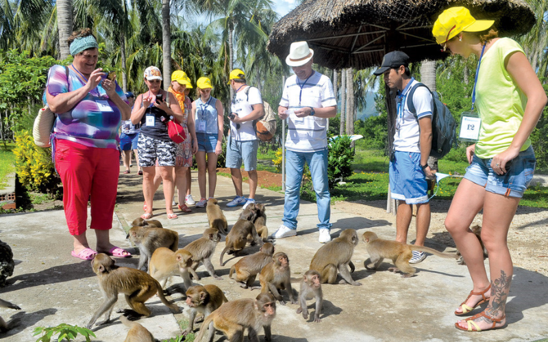 L’Île Hon Lao - l’îles où résident les singes
