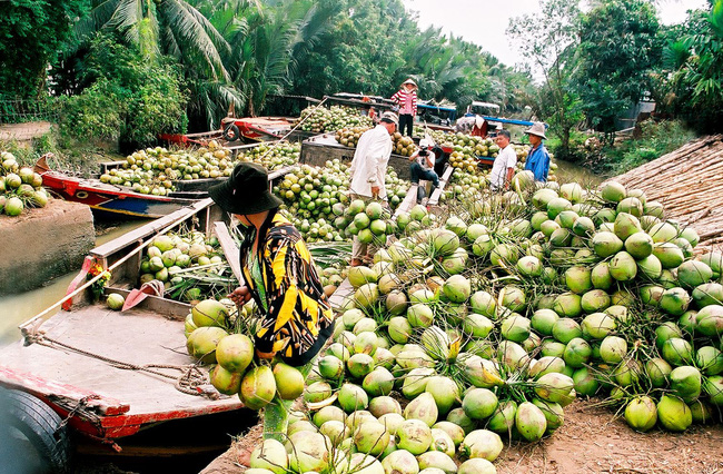 what to do in ben tre vietnam