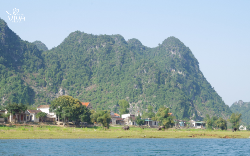 The beauty in Phong Nha Quang Binh 