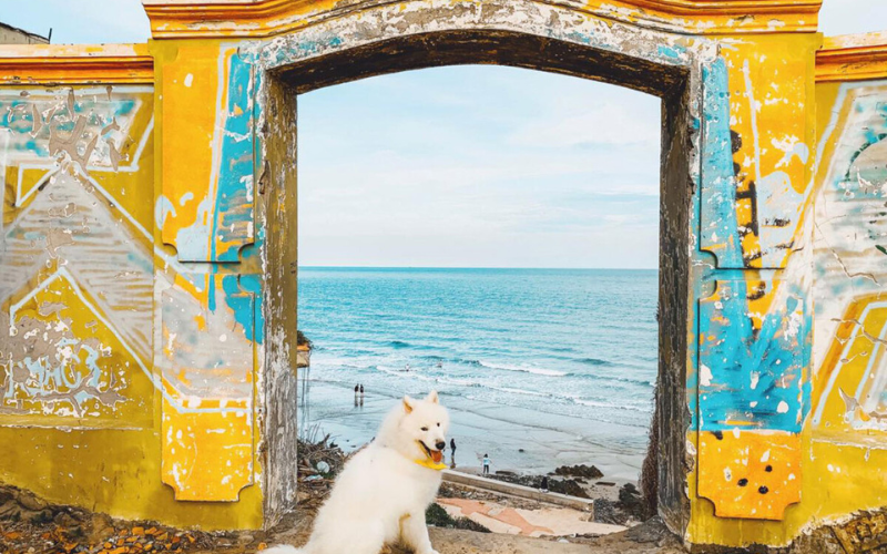 Nghinh Phong Cape – A stunning ‘Heaven’s Gate’ with endless ocean and mountain vistas