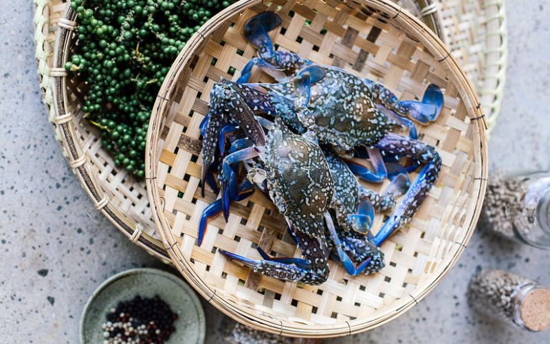 Crabe bleu à Kampot Cambodge 