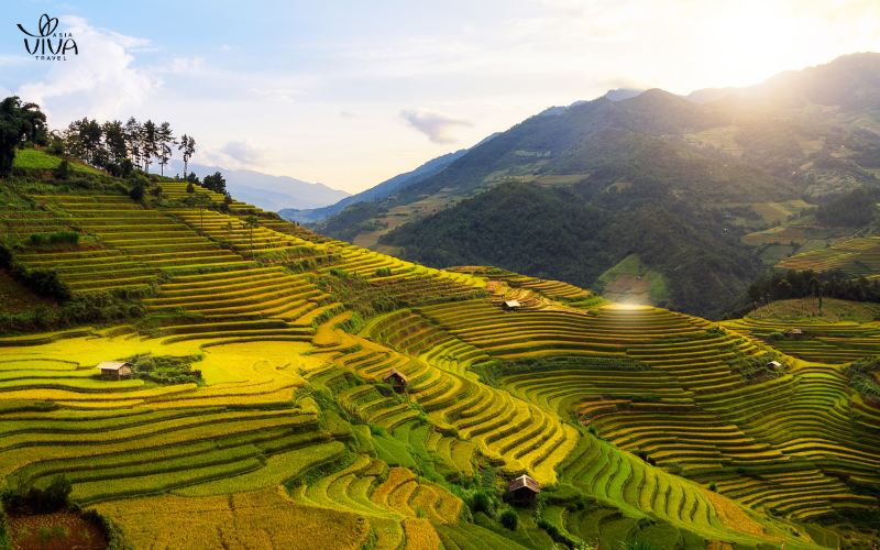 Risaie terrazzati di Mu Cang Chai