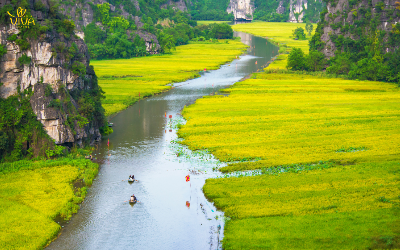 Risaie a Tam Coc