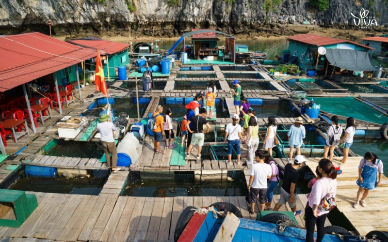 Il villaggio di pescatori di Cai Beo