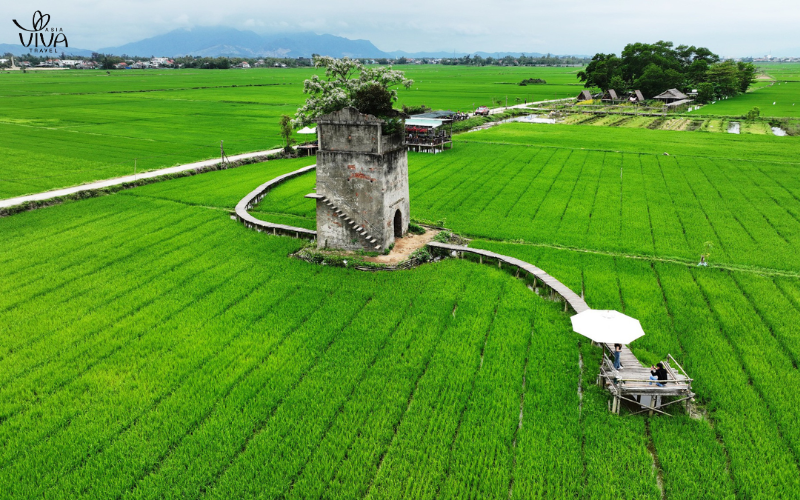 Risaie a Hoi An