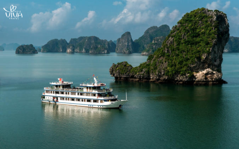 Swan Cruise 3.5*
