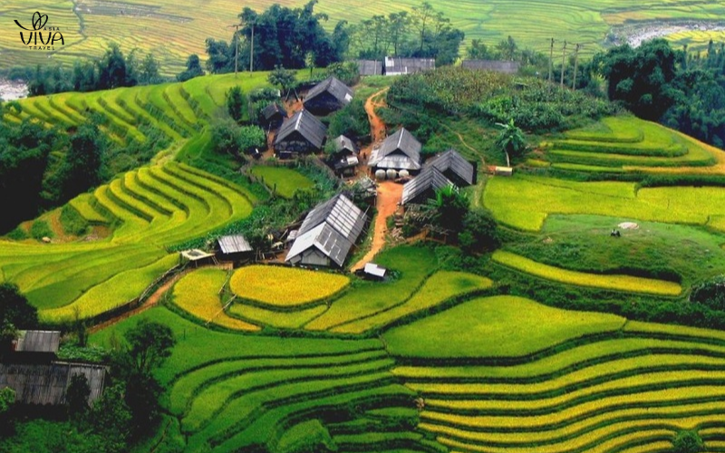 Risaie di Lao Chai
