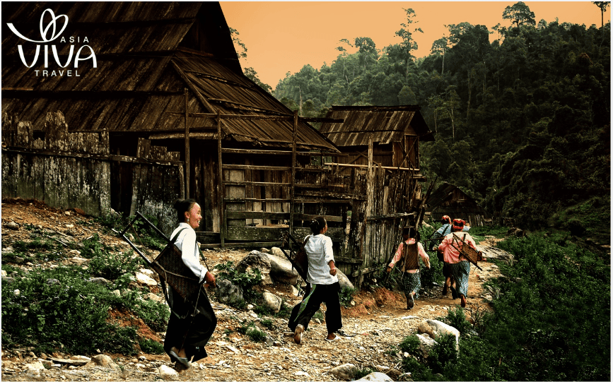 La vita dei Thai Bianchi