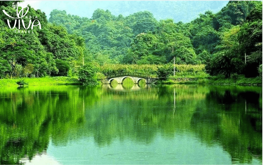 Il Parco Nazionale di Cuc Phuong