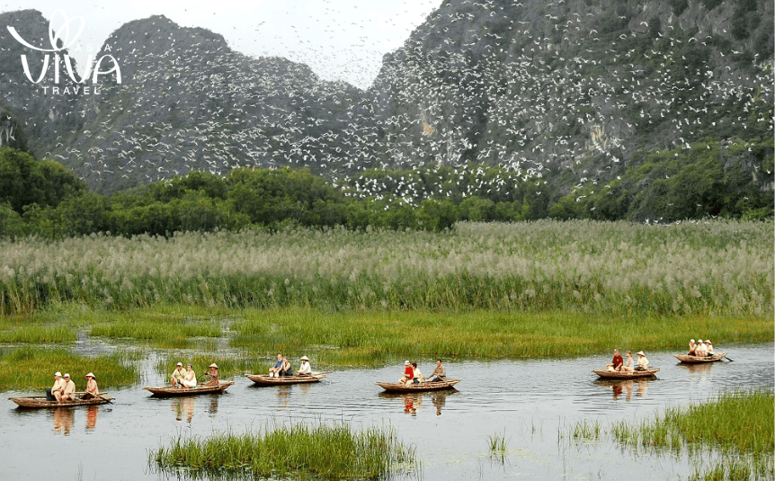 Riserva naturale di Van Long