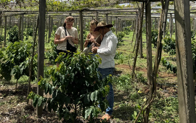 station-de-plantation-de-cafe-mondulkiri