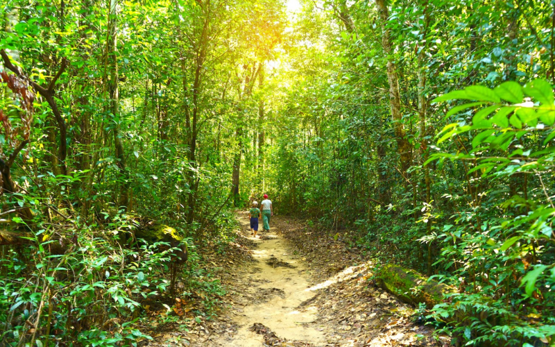 Parc National de Phu Quoc