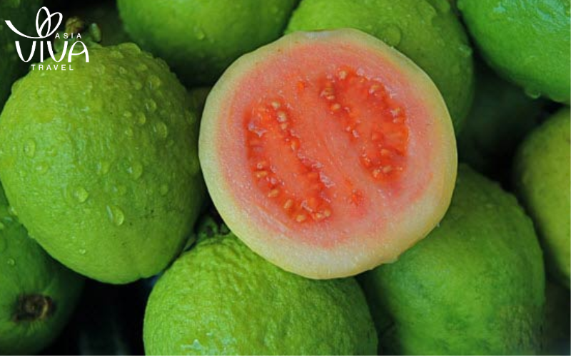 Guava - in vietnamita: Ổi