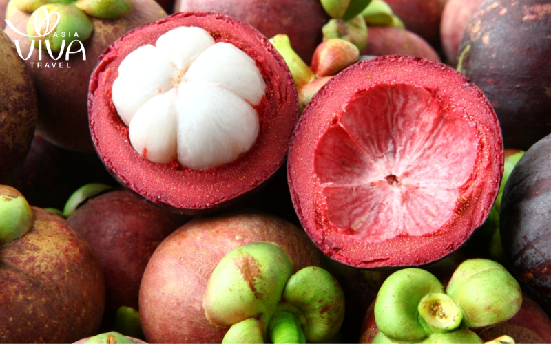 Mangostano - in vietnamita: Măng cụt