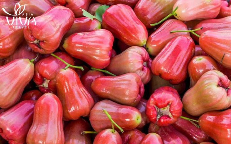 Rose Apple - in vietnamita: Quả Roi