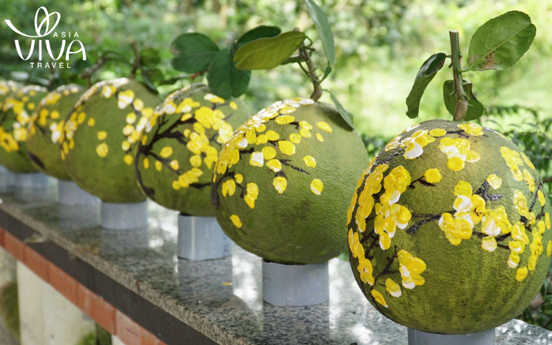 Il pomelo in Capodanno lunare vietnamita