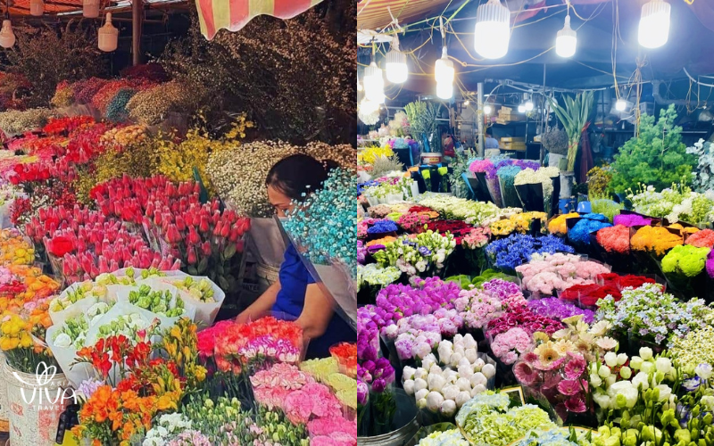 Mercato Galleggiante di Quang Ba (Quang Ba Flower Market, Hanoi)