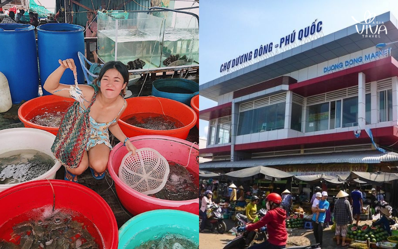 Mercato notturno di Phu Quoc (Duong Dong)